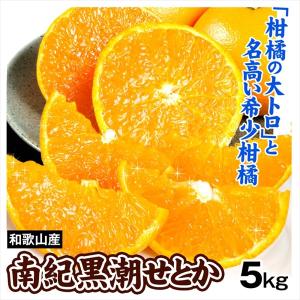 みかん 5kg 和歌山産 南紀黒潮 せとか 柑橘 ご家庭用 送料無料 食品｜kokkaen