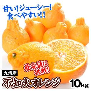 みかん 10kg 不知火オレンジ 九州産 不知火 しらぬい デコ ご家庭用 送料無料 食品 国華園