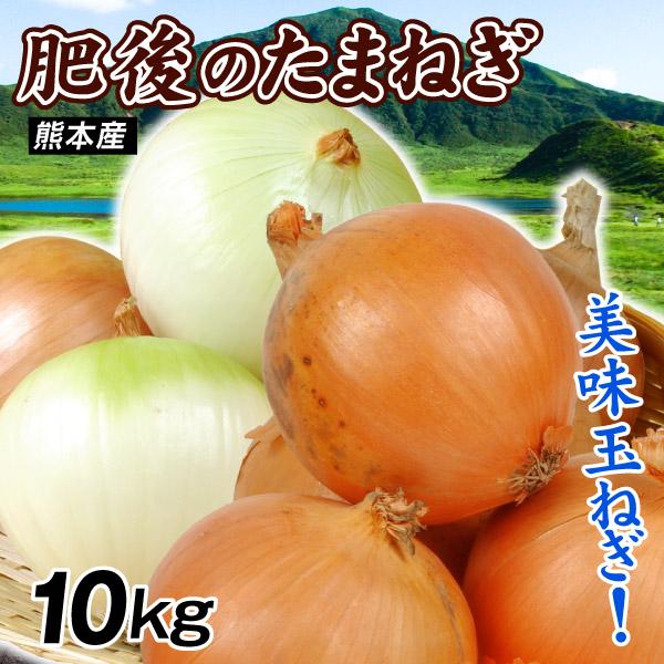 たまねぎ 10kg 肥後の新たまねぎ 熊本産 送料無料 食品