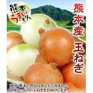 国華園 たまねぎ 10kg 肥後のたまねぎ 熊...の詳細画像1