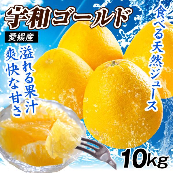 宇和ゴールド 10kg 愛媛産 ご家庭用 河内晩柑 みかん 和製グレープフルーツ 食べる天然ジュース...