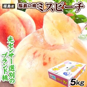 干し柿 甲州百目柿 ころ柿 枯露柿 山梨県産 特1号(大箱) 12〜20個入 約