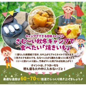 国華園 さつまいも 10kg 訳あり 紅はるか...の詳細画像5