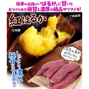 国華園 さつまいも 10kg 訳あり 紅はるか...の詳細画像1