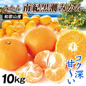みかん 10kg 南紀黒潮みかん 和歌山産 ご家庭用 温州 ミカン 送料無料 食品