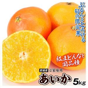みかん 5kg あいか 愛媛産 ご家庭用 紅まどんなと同品種 送料無料 食品