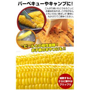 国華園 とうもろこし 約4kg スイートコーン...の詳細画像3