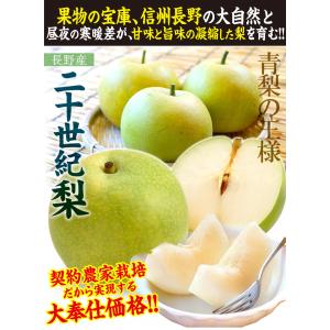 梨 10kg ご家庭用 二十世紀梨 長野産 送...の詳細画像2