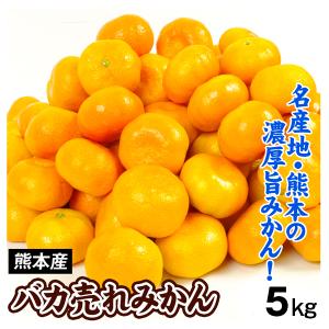 みかん 5kg 温州みかん バカ売れみかん 熊本産 極早生 蜜柑 バカ売れ 数量限定 送料無料 食品 国華園