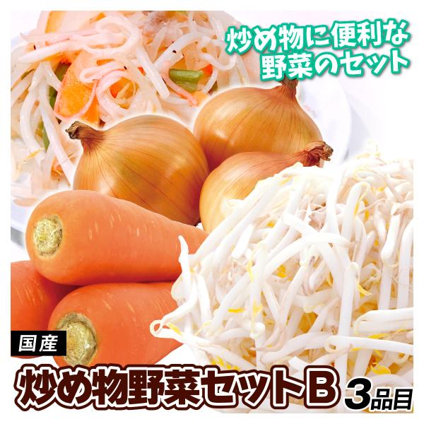 野菜セット 炒め物野菜セットB 3品目 1箱 国産 たまねぎ にんじん もやし 詰め合わせ 送料無料...