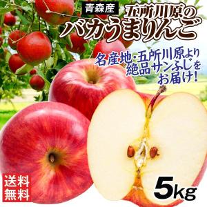国華園 りんご 5kg 青森産 バカうまりんご ...の商品画像