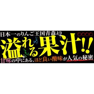 国華園 りんご 5kg 青森産 バカうまりんご...の詳細画像1