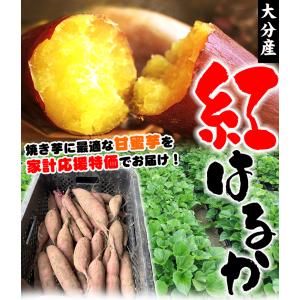 【送料無料】【訳あり】大分県産 紅はるか 10...の詳細画像1