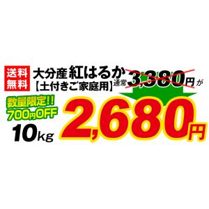 【送料無料】【訳あり】大分県産 紅はるか 10...の詳細画像2