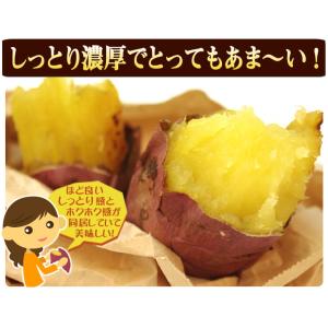 【送料無料】【訳あり】大分県産 紅はるか 10...の詳細画像3