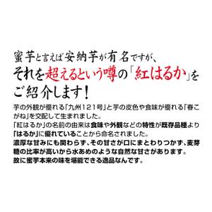 【送料無料】【訳あり】大分県産 紅はるか 10...の詳細画像5
