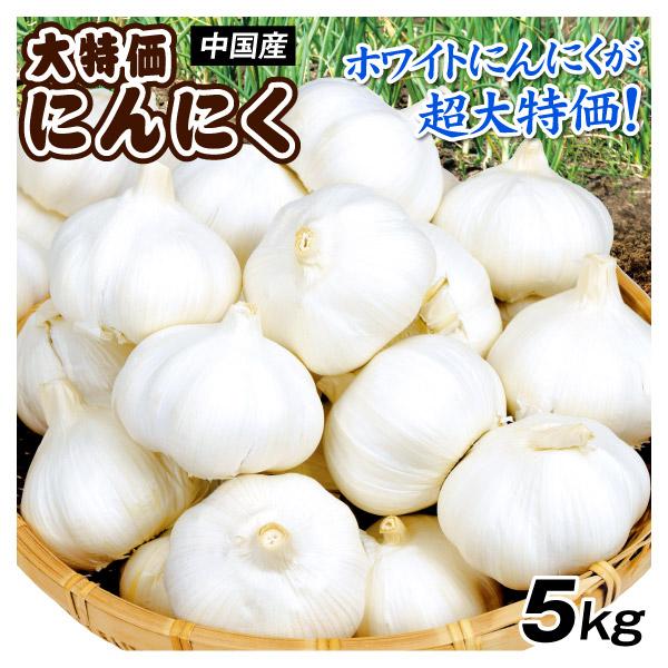 にんにく 大特価 5kg 中国産 大蒜 野菜 まとめ買い 送料無料 食品 国華園