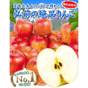 国華園 りんご 10kg 青森産 弘前の サン...の詳細画像1
