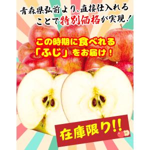 国華園 りんご 10kg 青森産 弘前の サン...の詳細画像2