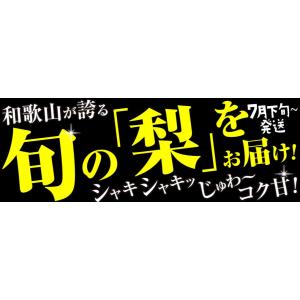 梨 6玉 和歌山の早生梨 幸水か喜水梨 いち早...の詳細画像1
