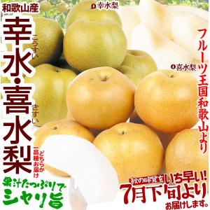 梨 6玉 和歌山の早生梨 幸水か喜水梨 いち早...の詳細画像2