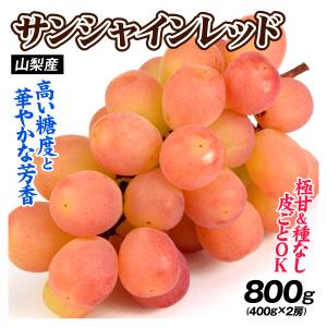 国華園 ぶどう 800g サンシャインレッド 山...の商品画像