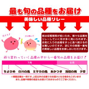 もも 6〜9玉 まるちゃんの 笛吹の大玉桃 山...の詳細画像5
