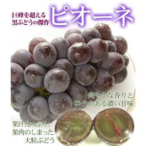 ぶどう 約1.2kg (約300g×4パック)...の詳細画像5