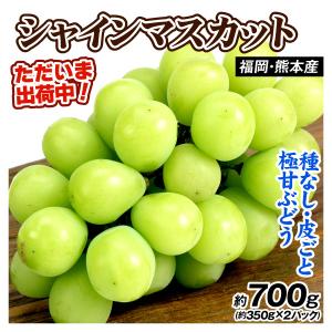 国華園 ぶどう 約700g (約350g×2パック) シャインマスカット ただいま出荷中 福岡・熊本産 ご家庭用 葡萄 皮ごとOK 大粒 種なし 果物 フルーツ 送料無料 食品