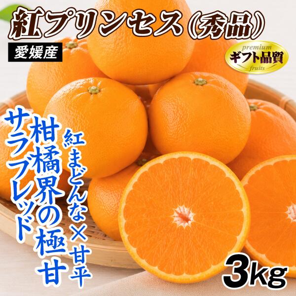 みかん 愛媛産 紅プリンセス 3kg ギフト 秀品 送料無料 食品 国華園 爆買