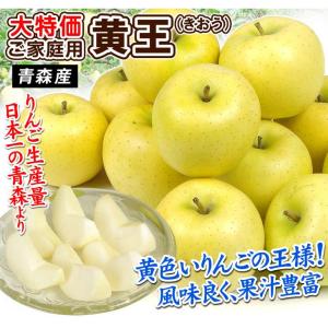 りんご 10kg 青森産 弘前の黄王 黄色りん...の詳細画像1