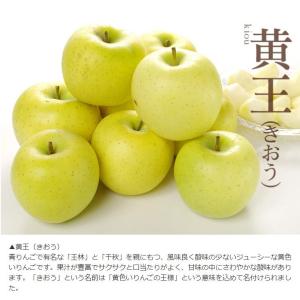 りんご 10kg 青森産 弘前の黄王 黄色りん...の詳細画像2