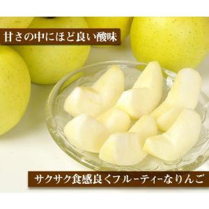 りんご 10kg 青森産 弘前の黄王 黄色りん...の詳細画像3