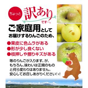 りんご 10kg 青森産 弘前の黄王 黄色りん...の詳細画像5