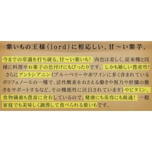 国華園 イモヅル 芋づる パープルスイートロー...の詳細画像3
