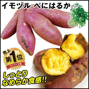 イモヅル(芋づる) べにはるかPイモヅル 50本 / さつま...