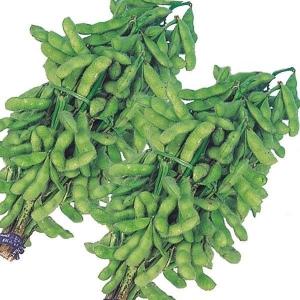 種 野菜たね エダマメ 早生緑枝豆 1袋（25ml） 枝豆 やさいの種 国華園