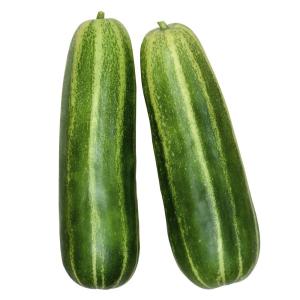 種 野菜たね ウリ 黒門青縞瓜 1袋（2ml） 瓜 やさいの種 国華園