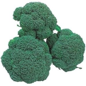 SK9-099 ブロッコリー種子 2000粒 【野菜種子】【サカタのタネ