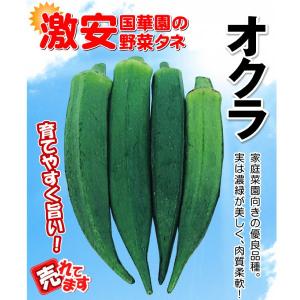 種 野菜たね オクラ(品種名:みやこ五角) 1...の詳細画像1