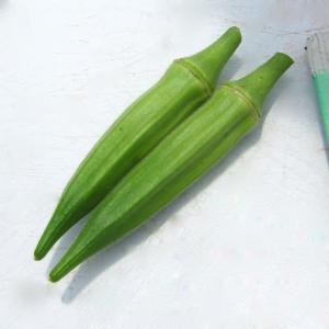 種 野菜たね オクラ(品種名:みやこ五角) 1...の詳細画像2