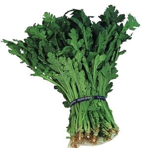 種 野菜たね 健康野菜 株張り中葉春菊 1袋（30ml） しゅんぎく やさいの種 国華園