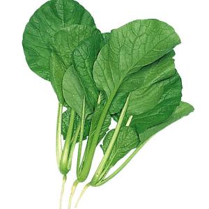 種 野菜たね 健康野菜 F1大優小松菜 1袋（5ml） やさいの種 国華園