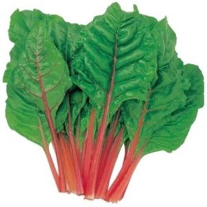 種 野菜たね 健康野菜 スイスチャード赤 1袋(5ml) / 【YTC67】