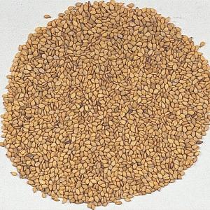 種 野菜たね 健康野菜 金胡麻 1袋（10ml） こくもつ 胡麻 ゴマ きんごま やさいの種 国華園