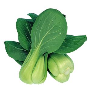種 野菜たね 世界の野菜 チンゲンサイ 1袋（10ml） やさいの種 国華園