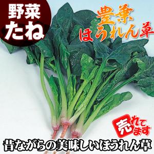 種 野菜たね ホウレンソウ 豊葉ほうれん草 1...の詳細画像1