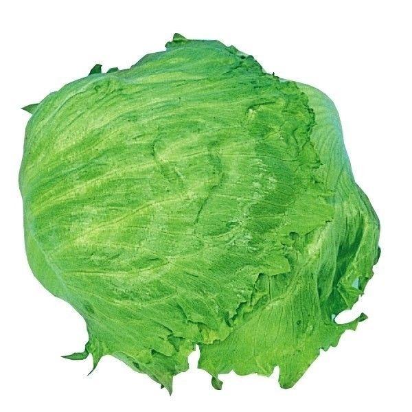 種 野菜たね レタス グレートレーク 1袋（2ml） やさいの種 国華園