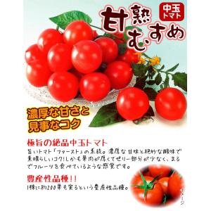 種 野菜たね 中玉トマト F1甘熟むすめ 1袋...の詳細画像2
