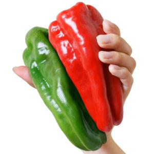 種 野菜たね ピーマン F1スイートロング 1袋（20粒） やさいの種 国華園